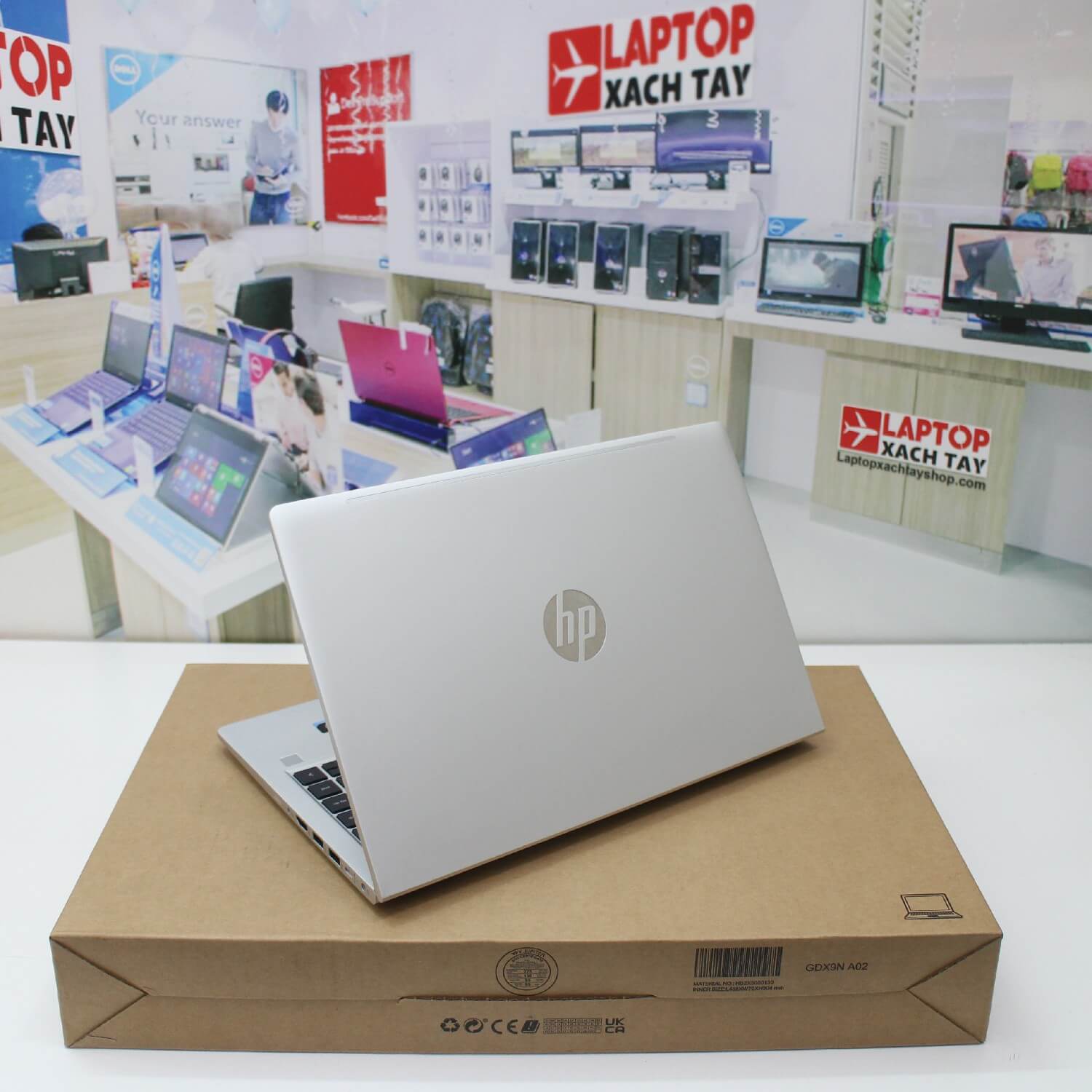 Đánh giá Laptop HP Probook 445 G10