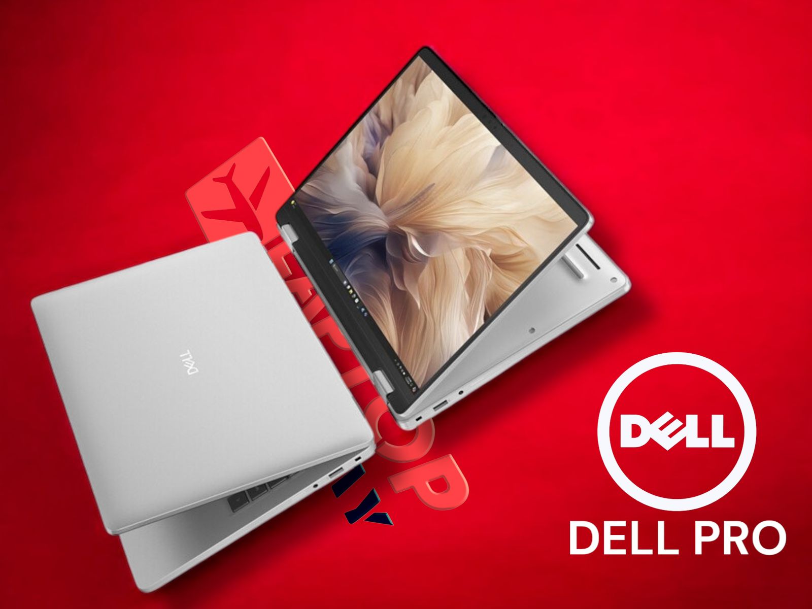 Các dòng Laptop Dell 2025 đáng mua nhất tháng 8 tại Laptopxachtayshop